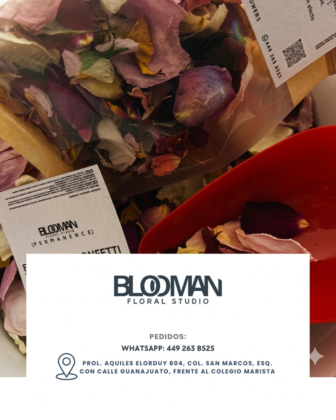 BOTANICAL CONFETTI — galería 4
