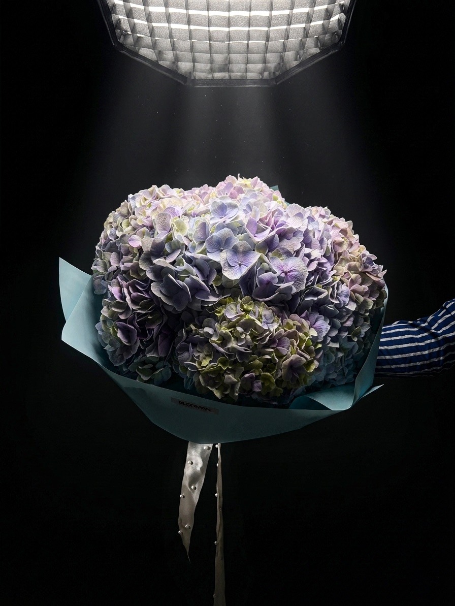 Opulence Vol. 02 — galería 1