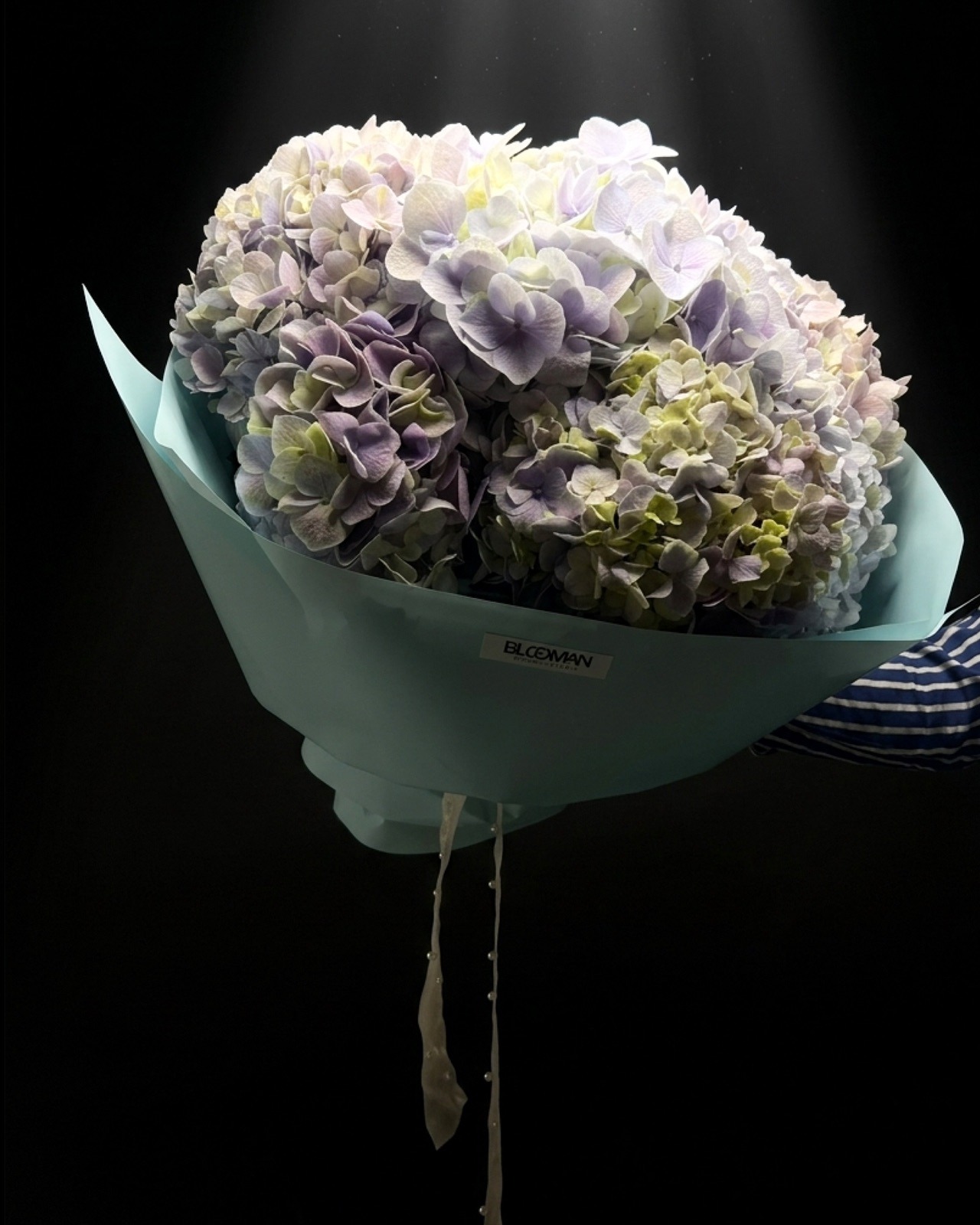 Opulence Vol. 02 — galería 2